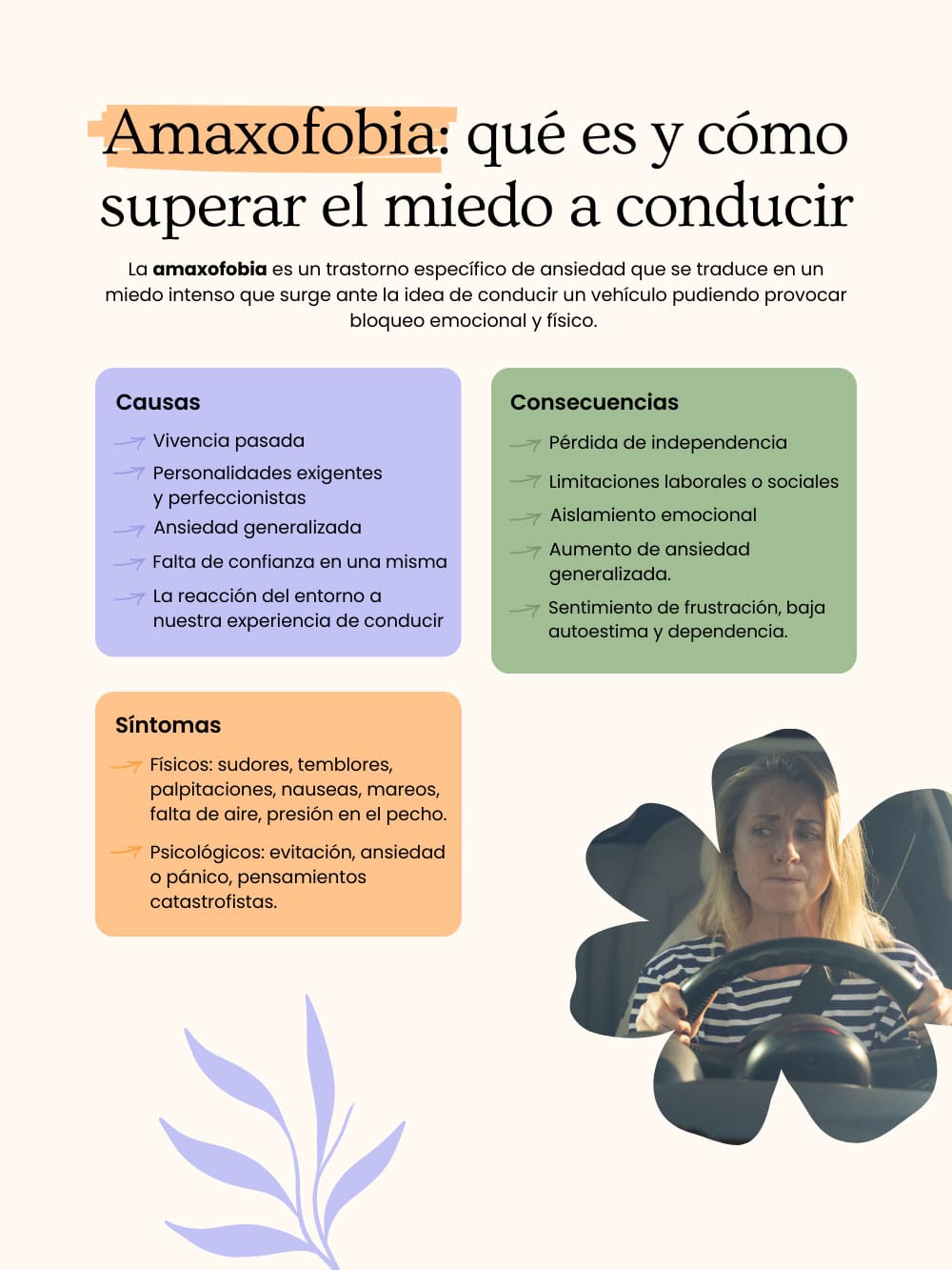 Amaxofobia que es Amaxofobia que es