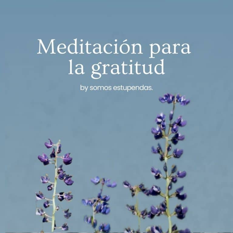 Meditación de la gratitud